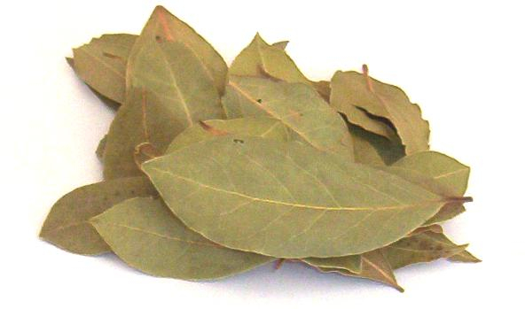 Bay Leaves